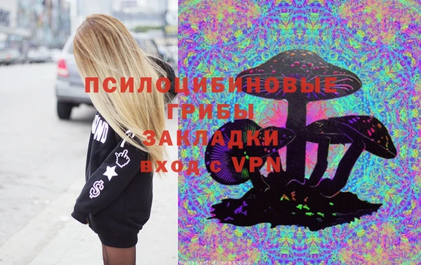 2c-b Балахна