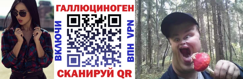 кракен   Чкаловск  Галлюциногенные грибы Psilocybe 